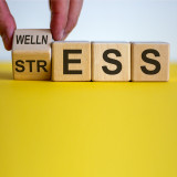 8 Habits for A Healthier Stress Response